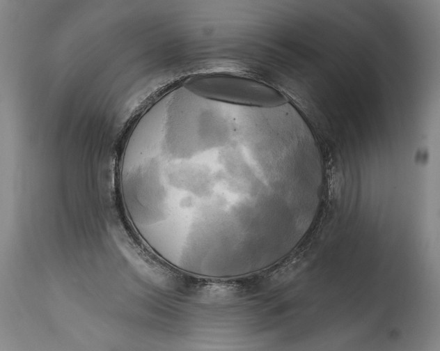 X0000114670350200911181212