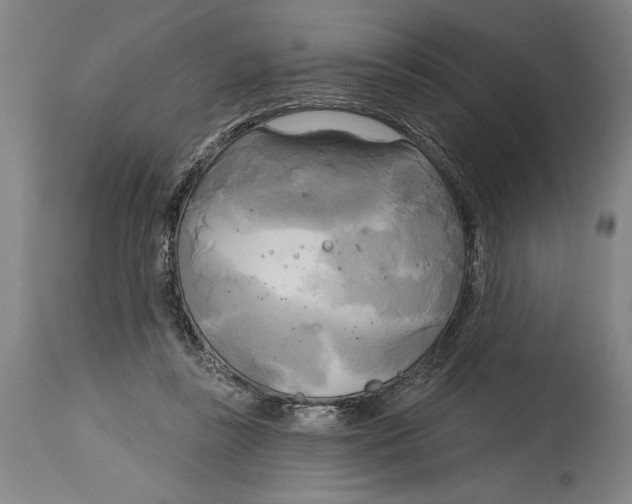 X0000114670355200911181212