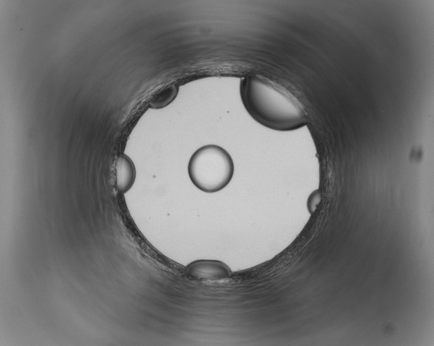 X0000114670357200911181212