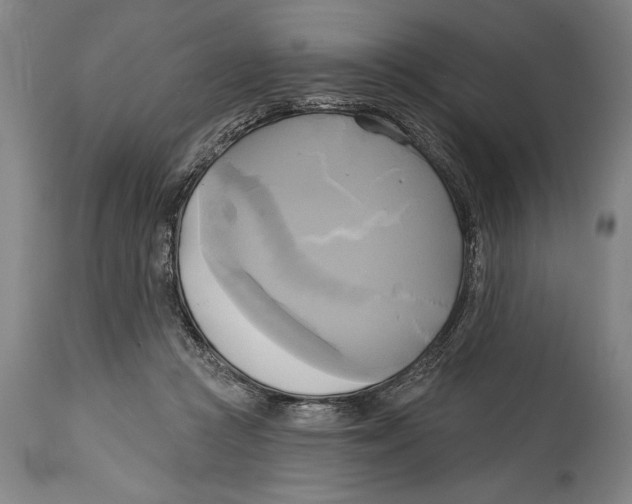 X0000114670361200911181212