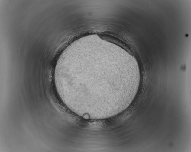 X0000114670362200911181212