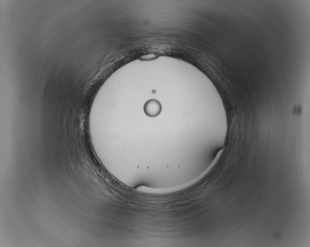 X0000114670363200911181212