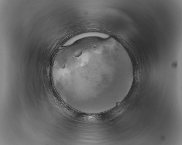 X0000114670365200911181212