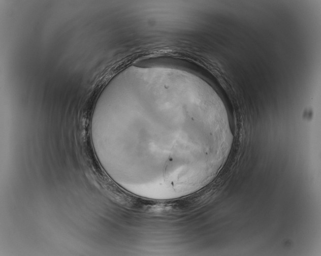 X0000114670366200911181212