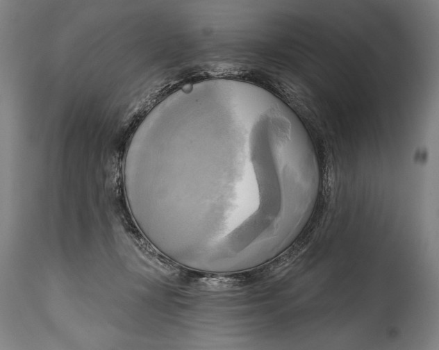 X0000114670367200911181212