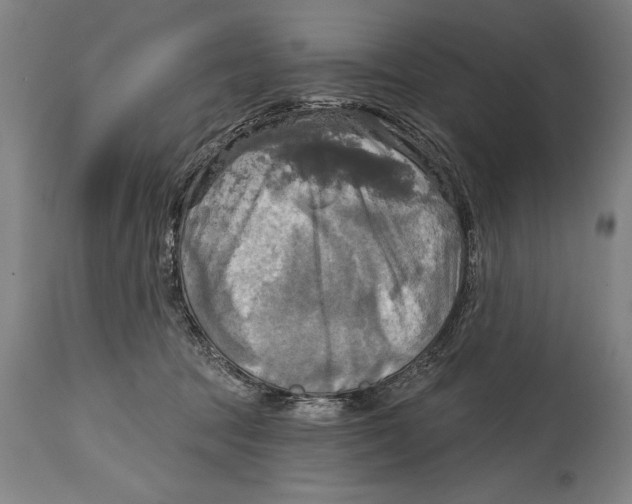 X0000114670369200911181212