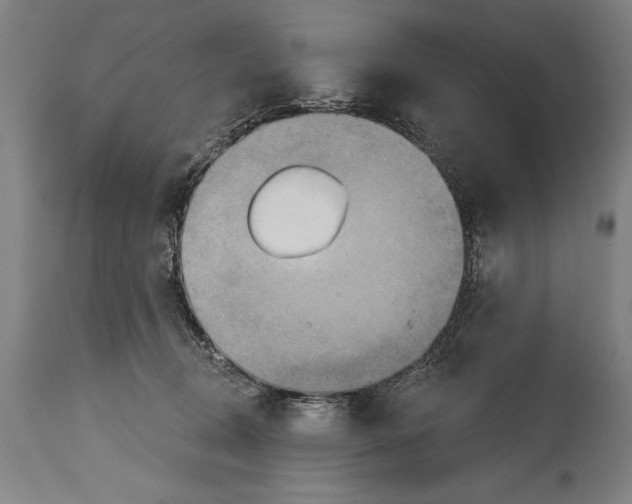 X0000114670370200911181212