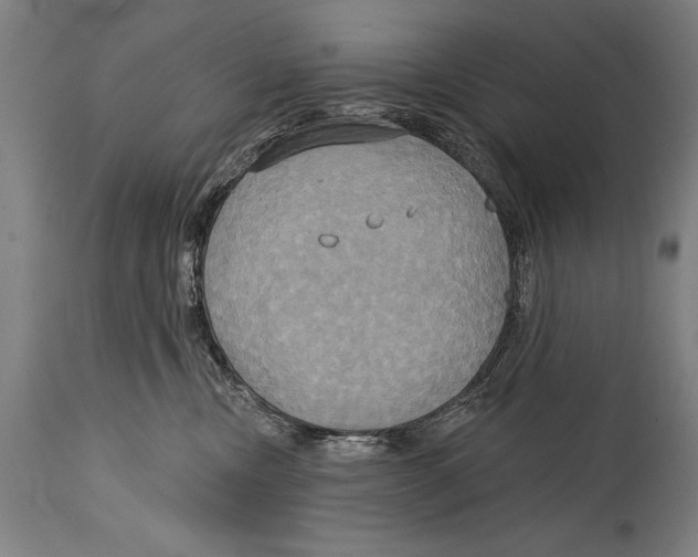 X0000114670378200911181213