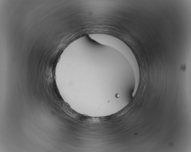 X0000114670381200911181213