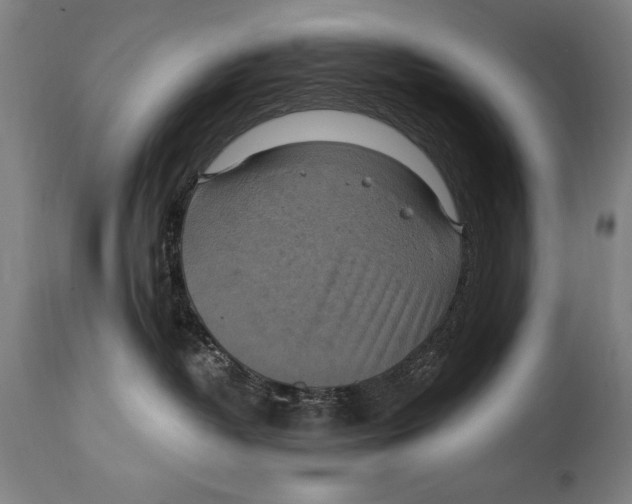 X0000114670382200911181213