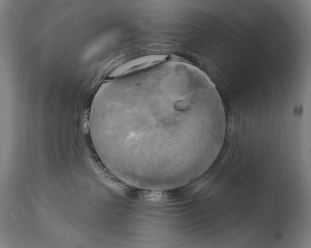 X0000114670383200911181213