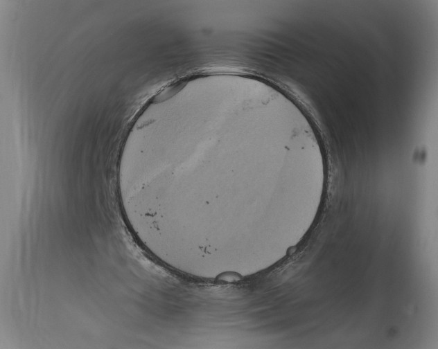 X0000114670385200911181212