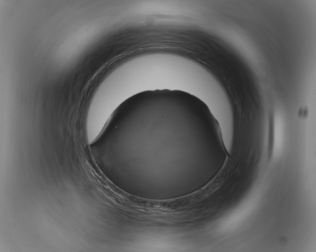 X0000114670387200911181212