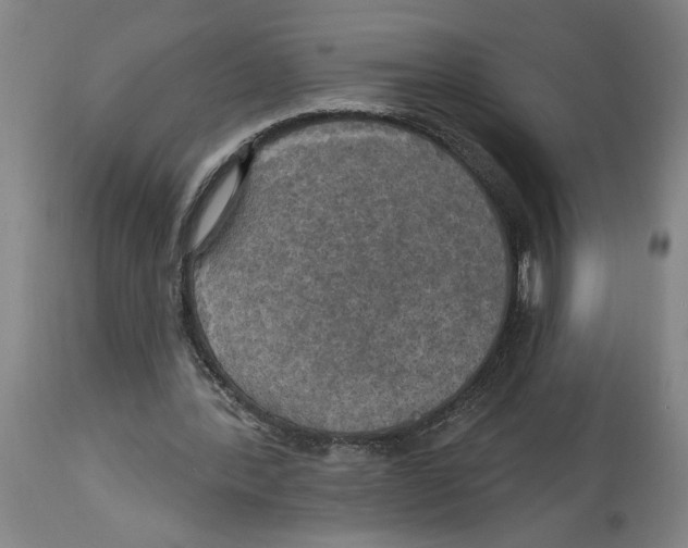 X0000114670388200911181212