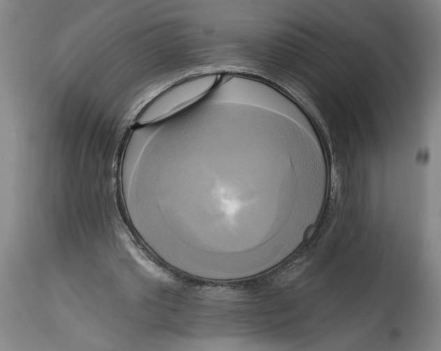 X0000114670389200911181212