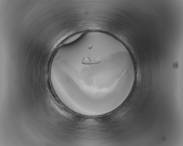 X0000114670390200911181212