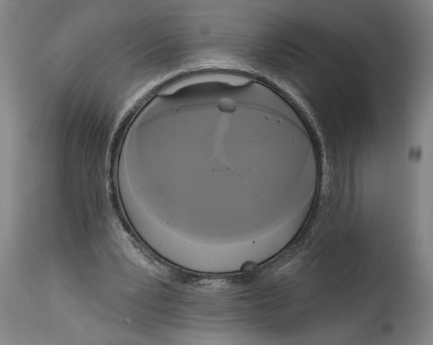 X0000114670391200911181212