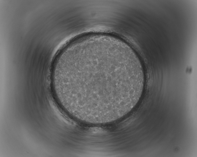 X0000114670392200911181212