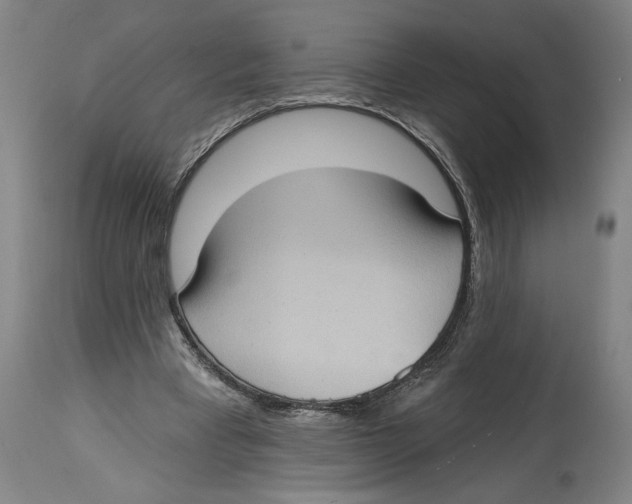 X0000114670393200911181212