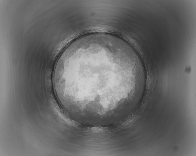 X0000114670394200911181212