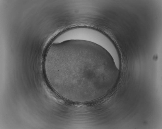 X0000114670395200911181212