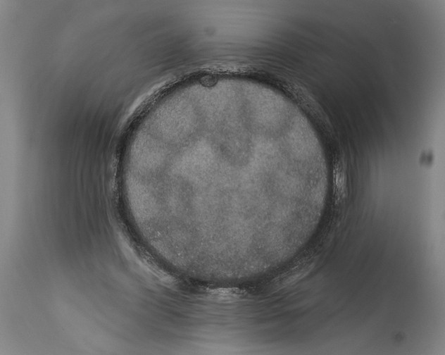 X0000114670396200911181212