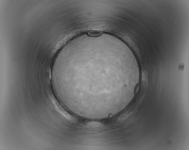 X0000114670397200911181212