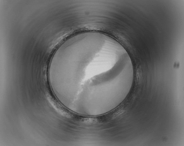 X0000114670398200911181212