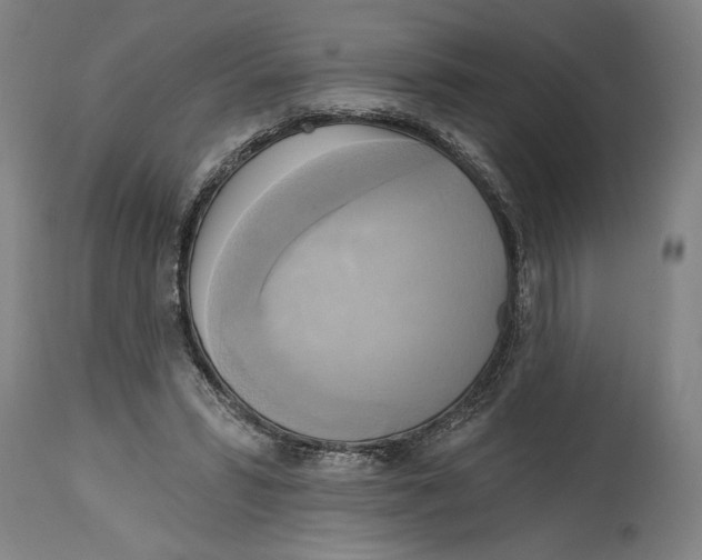 X0000114670399200911181212