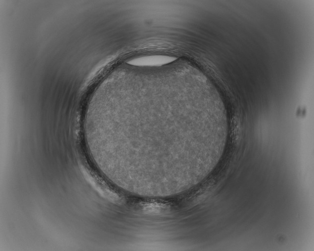 X0000114670400200911181212