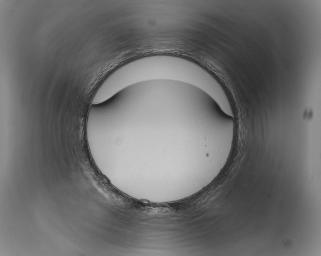 X0000114670401200911181212