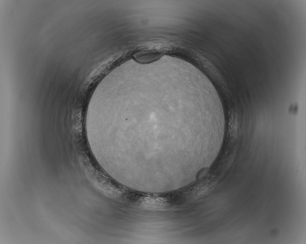 X0000114670403200911181212