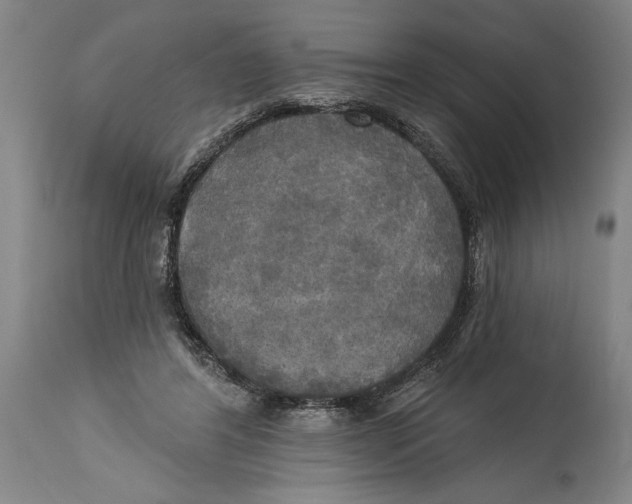 X0000114670404200911181212