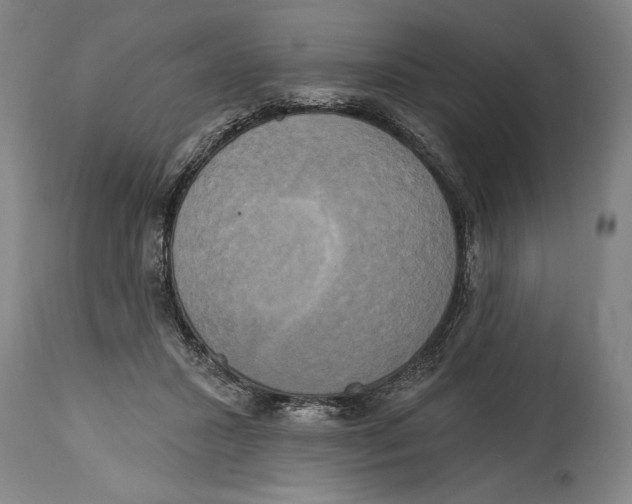 X0000114670407200911181212