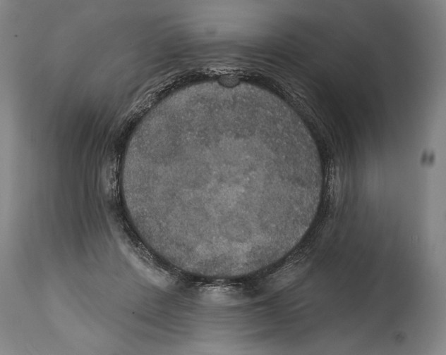 X0000114670408200911181212