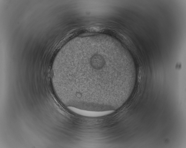 X0000114670409200911181212