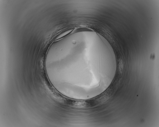 X0000114670410200911181212