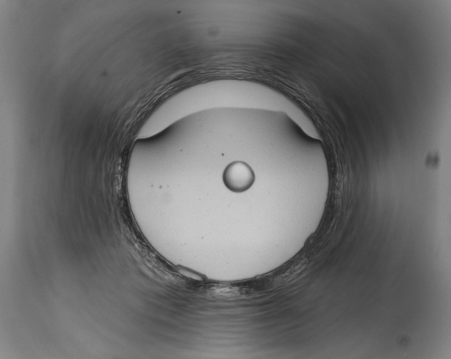 X0000114670413200911181212