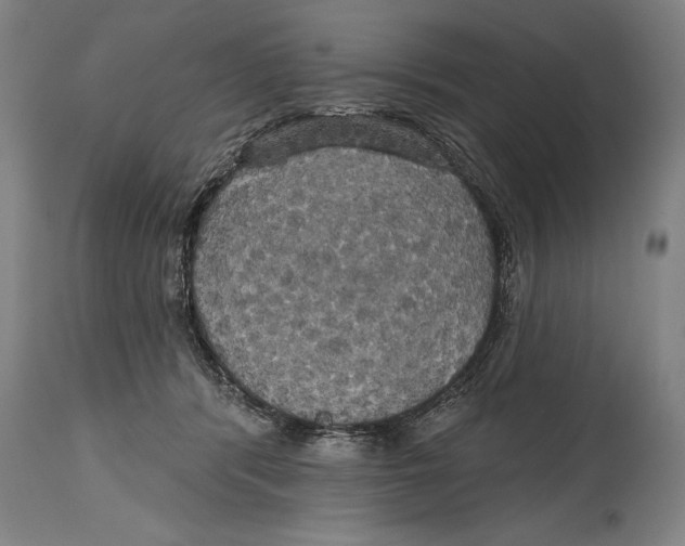 X0000114670416200911181212