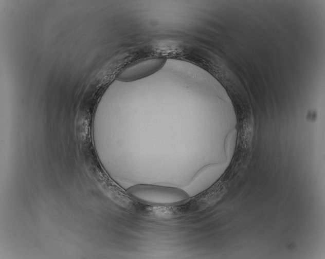 X0000114670417200911181212