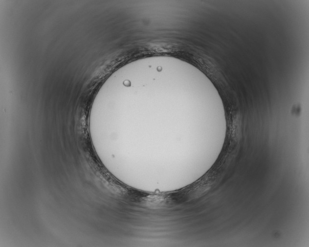 X0000114670418200911181212