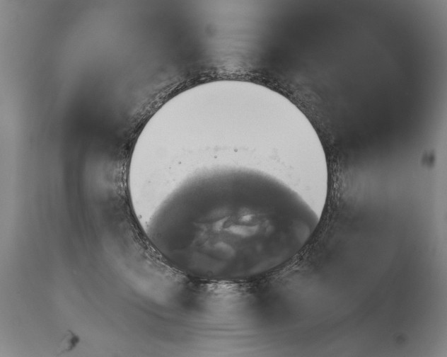 X0000114670419200911181212