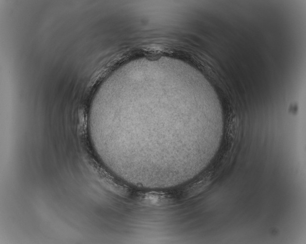 X0000114670420200911181212