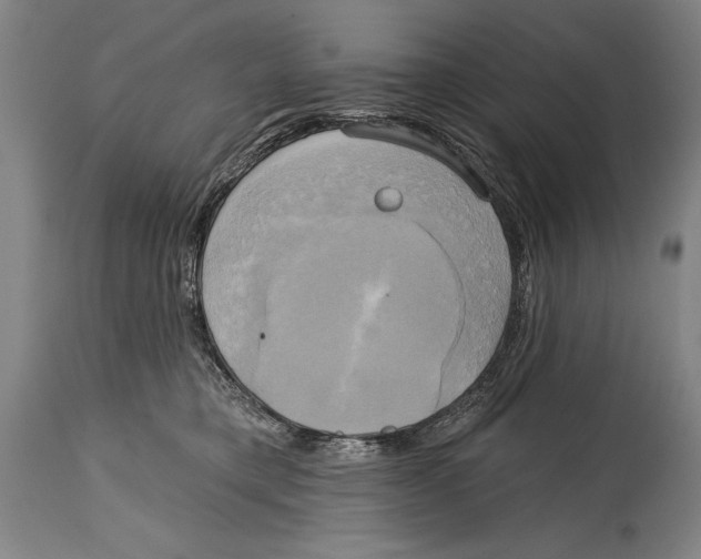 X0000114670421200911181211