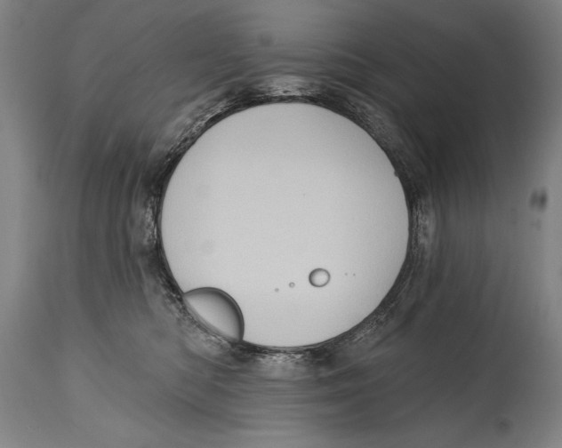 X0000114670422200911181211