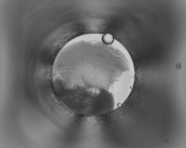 X0000114670423200911181211