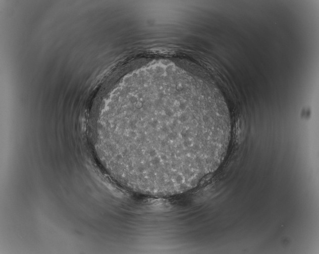 X0000114670424200911181211