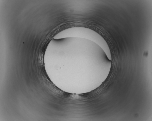 X0000114670425200911181211