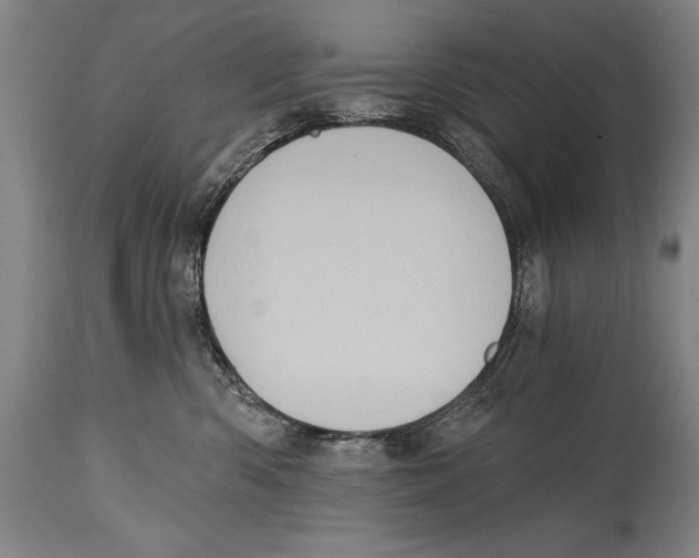 X0000114670426200911181211