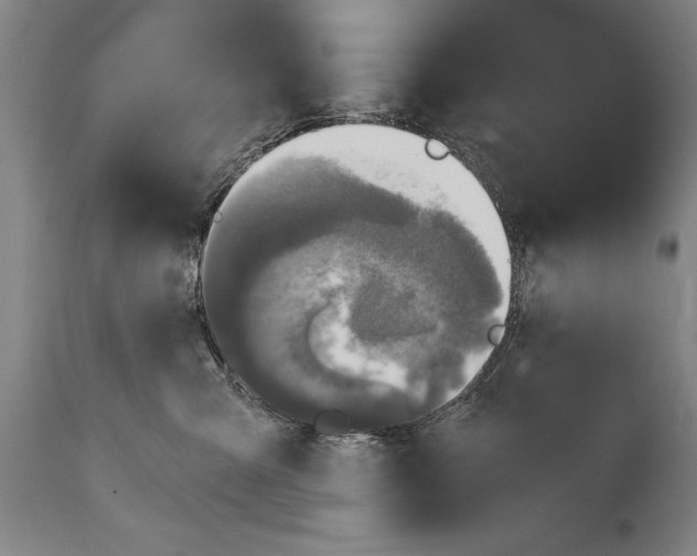 X0000114670427200911181211